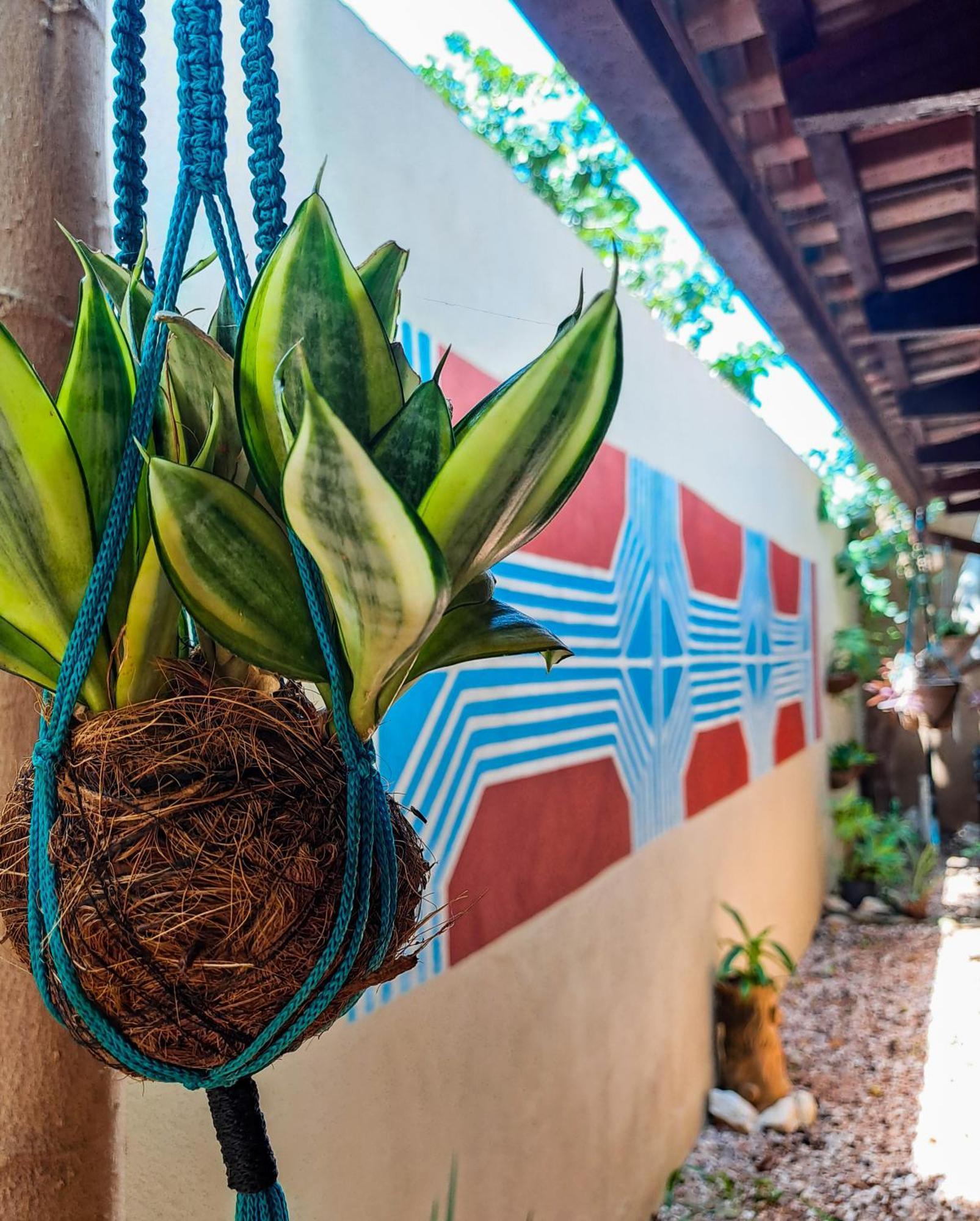 Savana Hostel São Jorge Exteriör bild